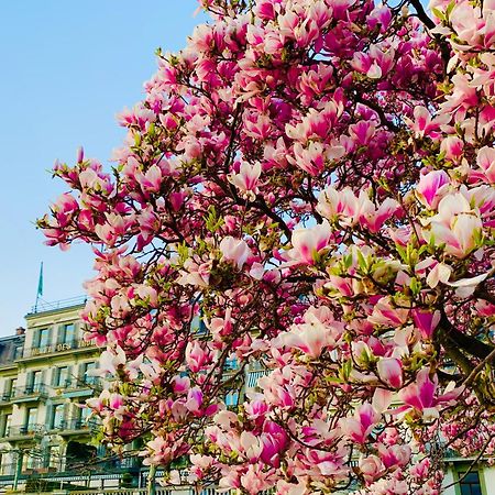 Hotel Des Trois Couronnes & Spa - The Leading Hotels Of The World Vevey Exteriör bild